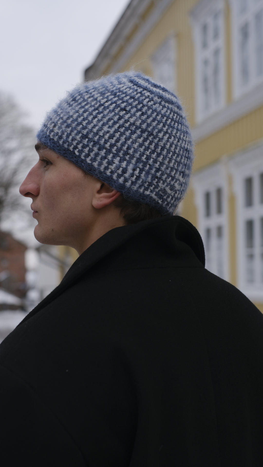 Blu Brushed Beanie